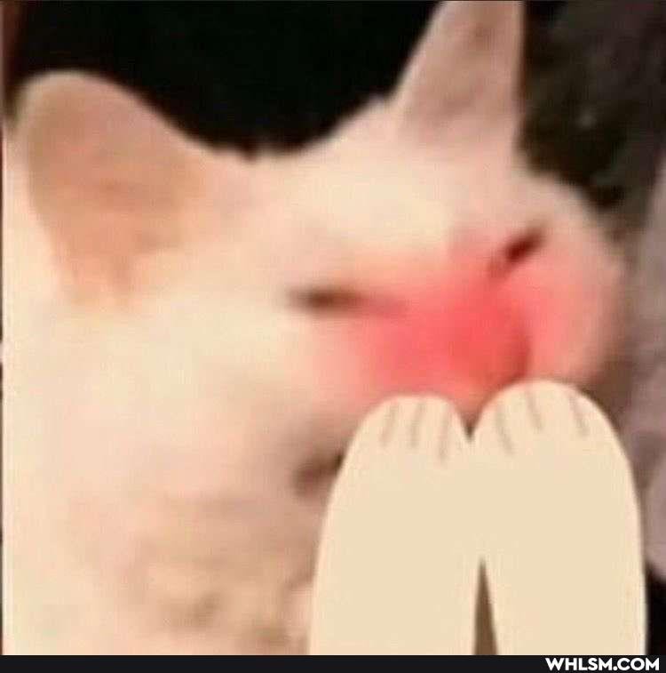 happy, positive_thinking, meme_dump