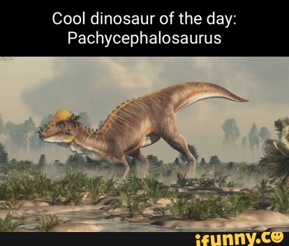 Pachycephalosaurus memes. Best Collection of funny Pachycephalosaurus ...