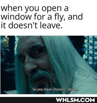 when you open a window for a fly, and
it doesn't leave.
See
see,
So you have 'chosei
