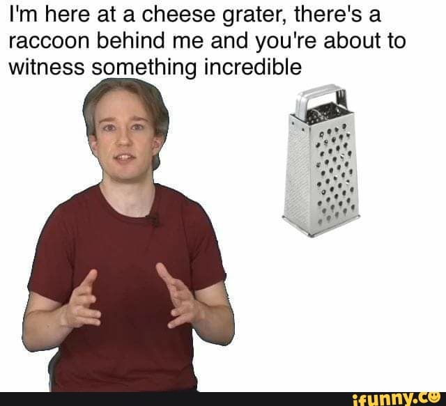 I'm here at a cheese grater, there's a raccoon behind me and you're