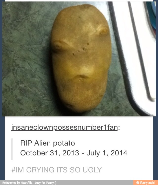 RIP Alien potato
October 31, 2013
July 1, 2014