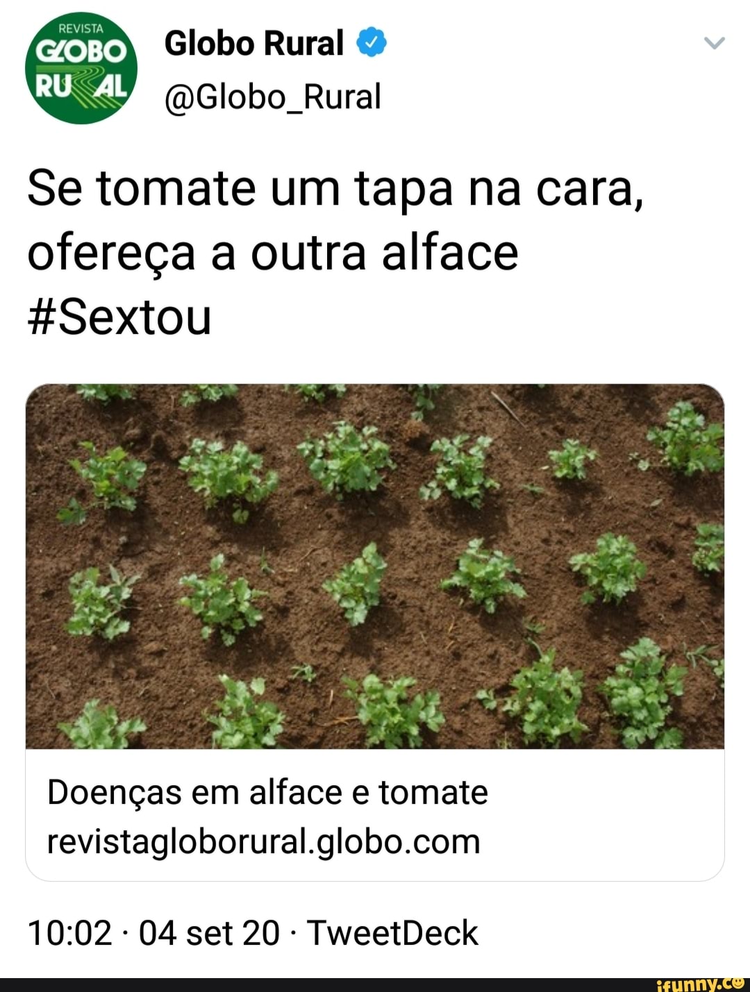 REVISTA Se tomate um tapa na