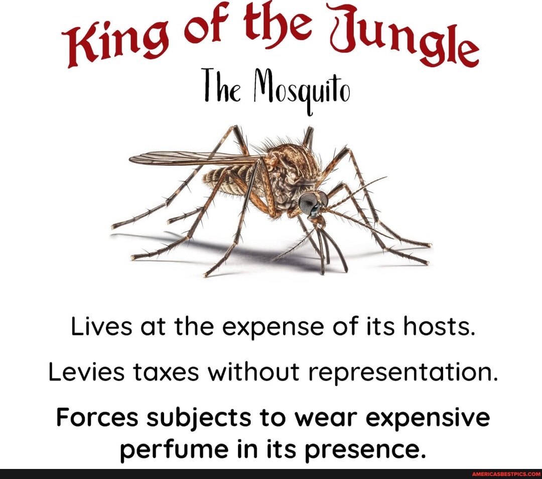 King of the Jungle The Mosquito AN Lives at the expense of its hosts ...