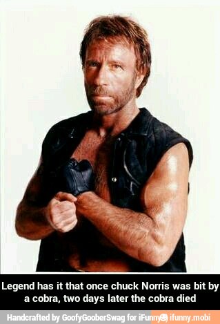 :gend has
it
that once chuck Norris was bit by
a cobra, two days later the cobra died - Legend has it that once chuck Norris was bit by a cobra, two days later the cobra died
