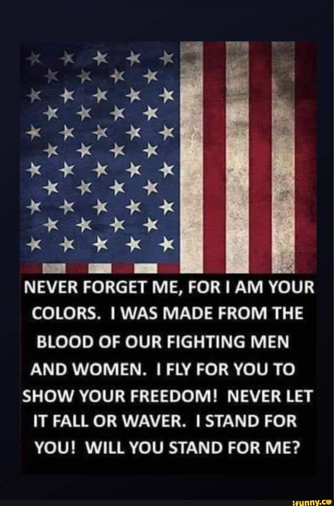 NEVER FORGET ME, FOR AM YOUR COLORS. I WAS MADE FROM THE BLOOD OF OUR ...