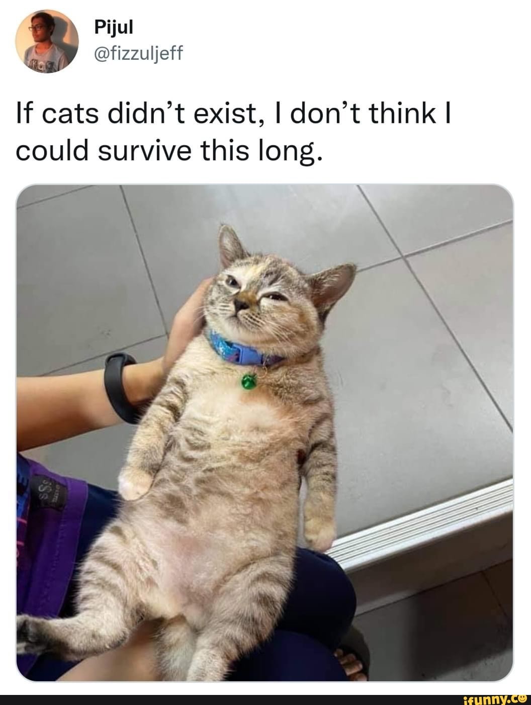 If cats didn't exist, I don't think I could survive this long. - )