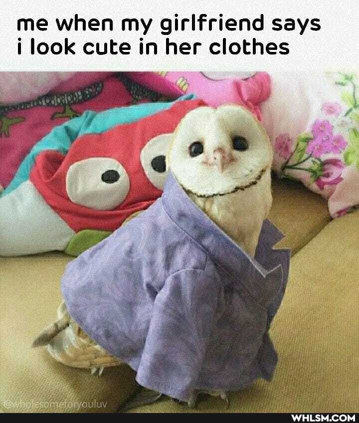 me when my girlfriend says i look cute in her clothes