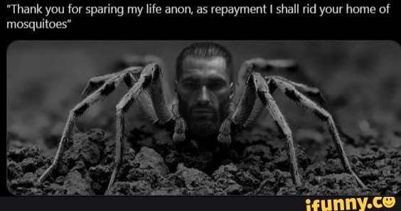 "Thank you for sparing my life anon, as repayment shall rid your home of
mosquitoes'