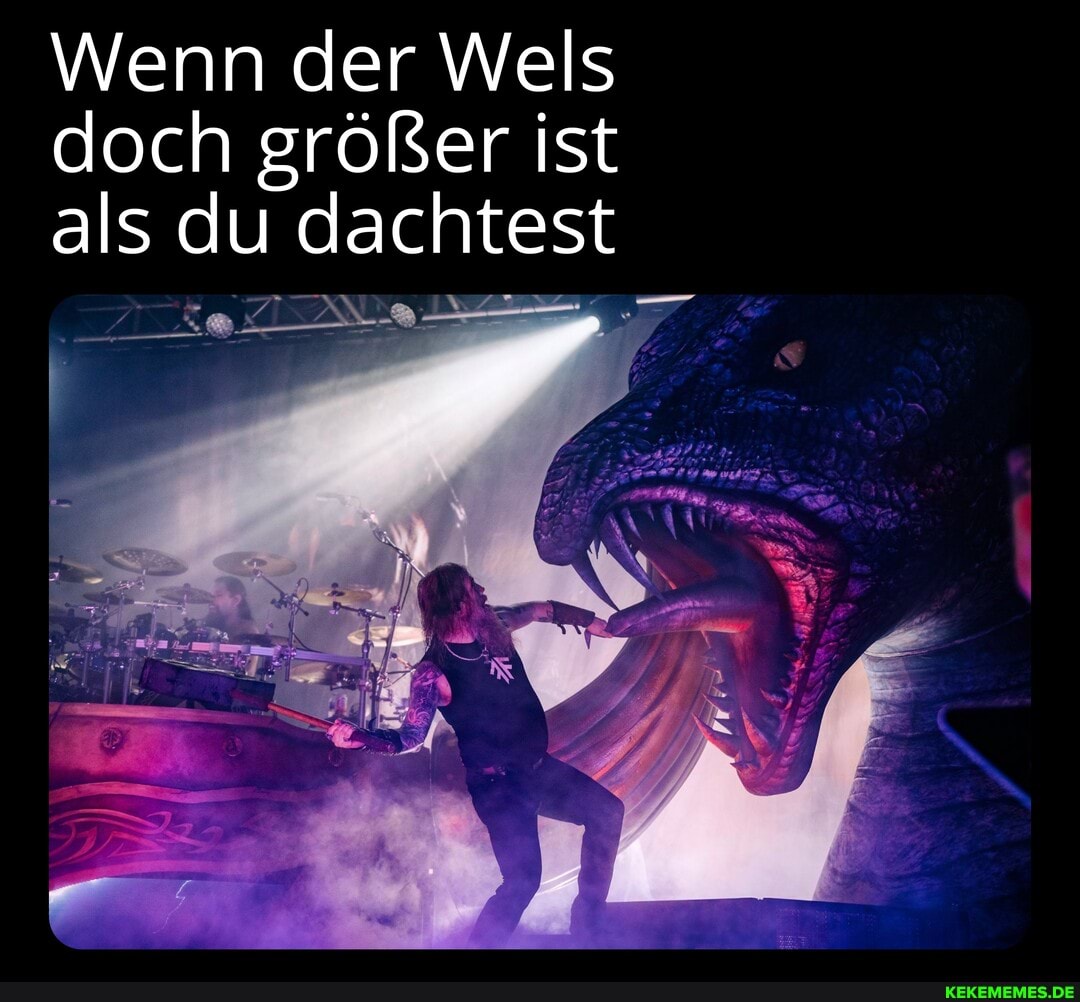 Wenn der Wels doch gröfser ist als du dachtest