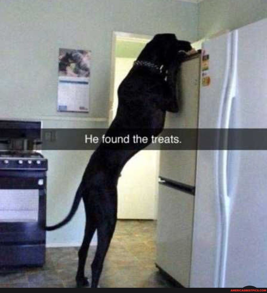 found the treats.