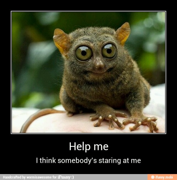 Help me
I think somebody's staring at me - Help me
I think somebody's staring at me