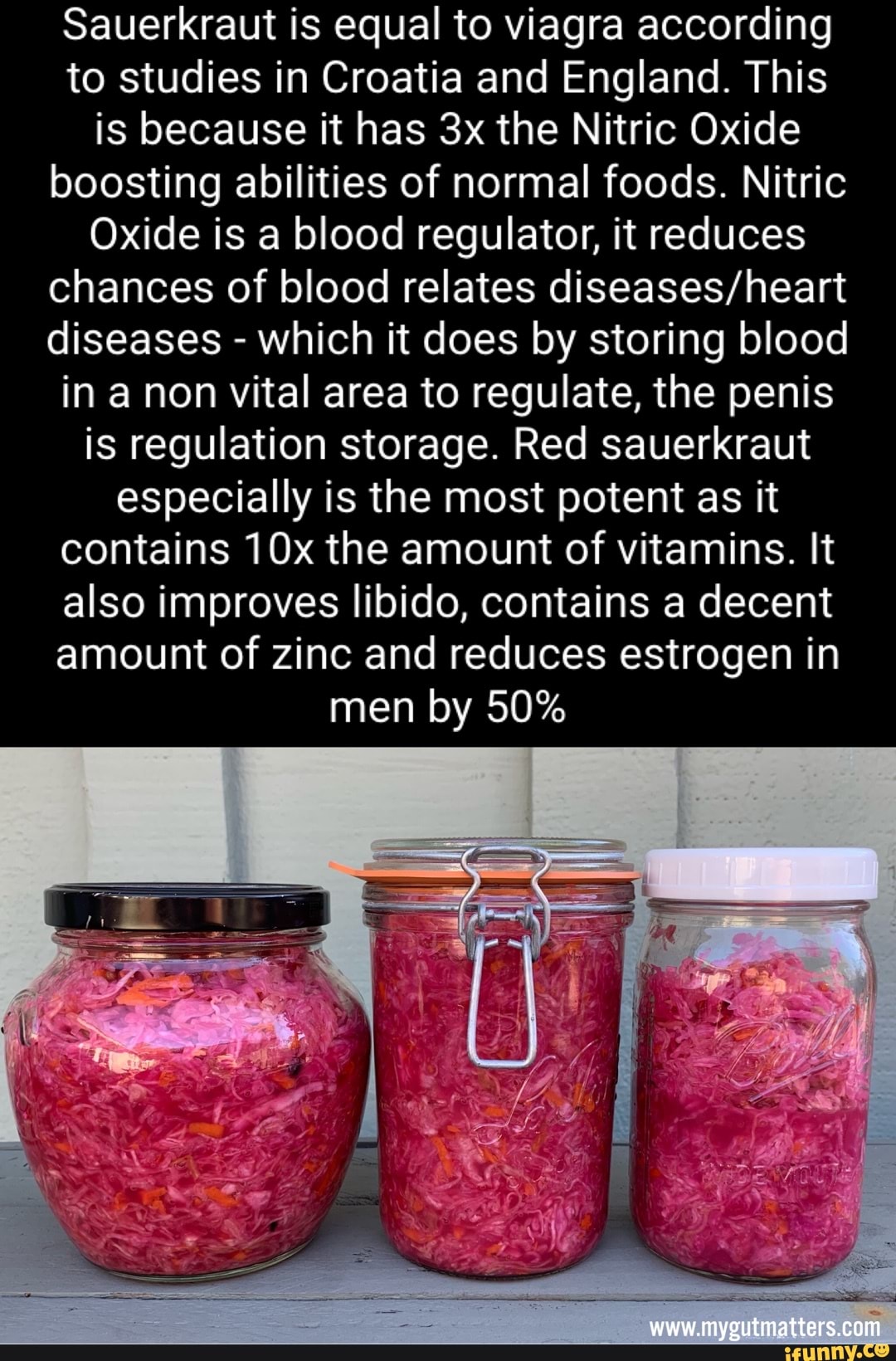 Sauerkraut memes. Best Collection of funny Sauerkraut pictures on iFunny