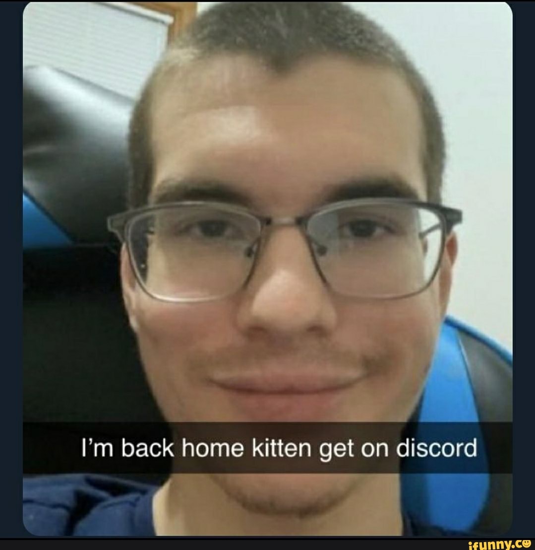 I m Back Home Kitten Get On Discord IFunny