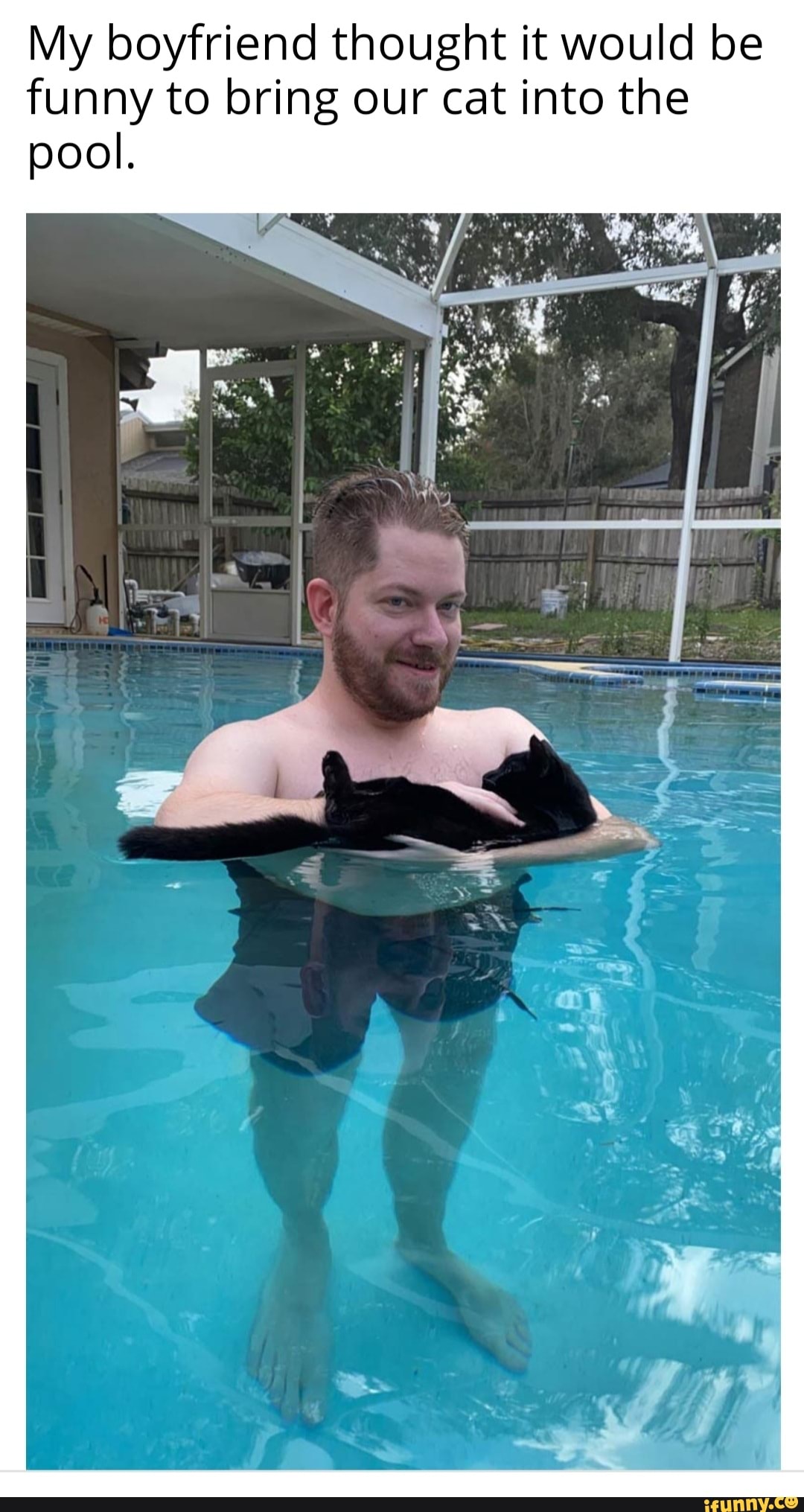 My boyfriend thought it would be funny to bring our cat into the pool.