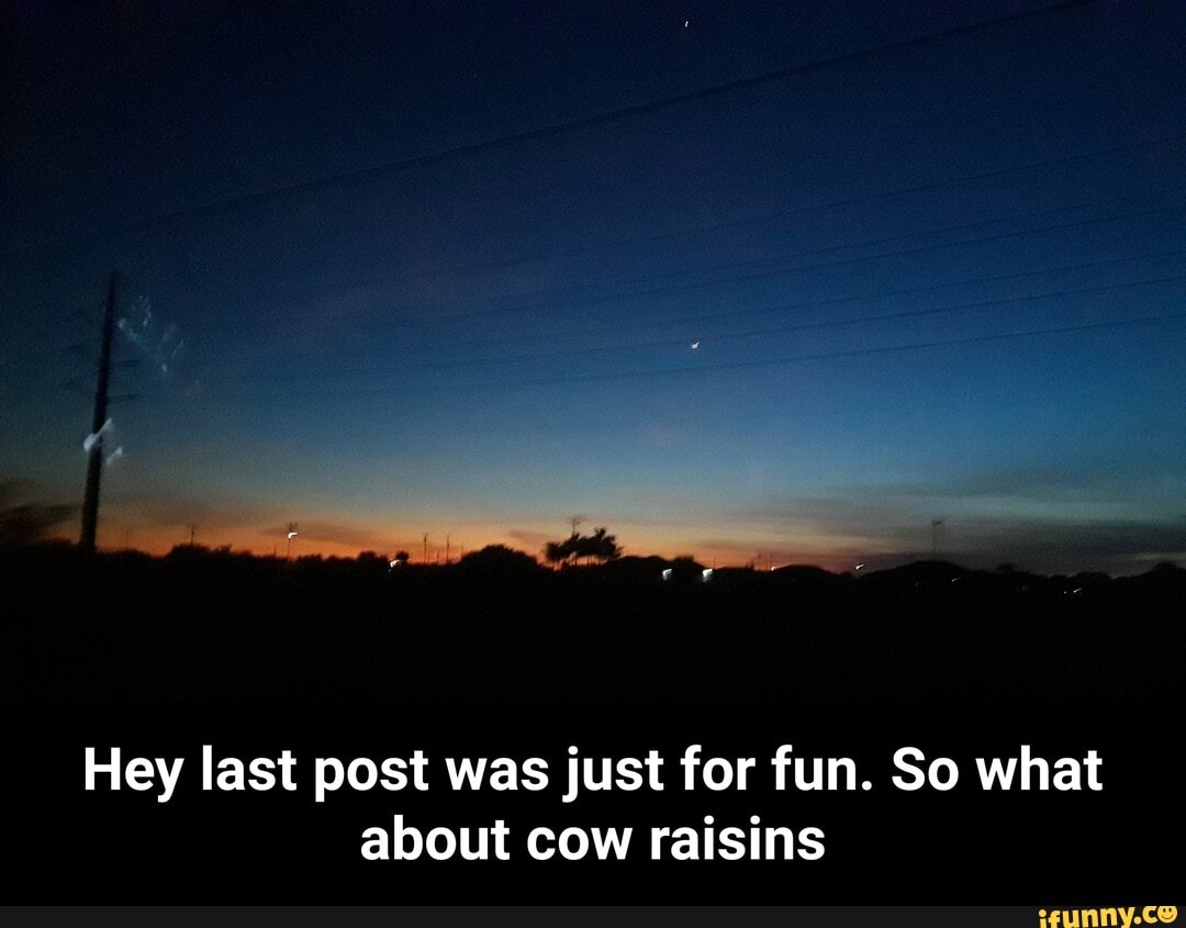 Cow Raisins Fishtitties memes. Best Collection of funny Fishtitties pictures on iFunny