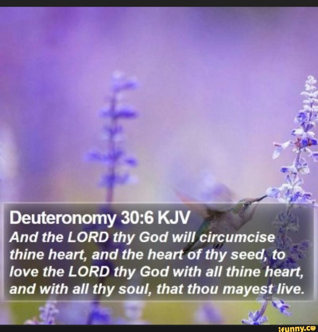 deuteronomy-kjv-and-the-lord-thy-god-will-circumcise-thine-heart-and