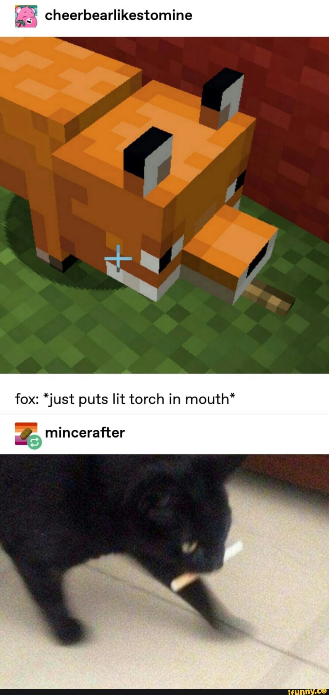 A Cheerbearlikestomine Fox Just Puts Lit Torch In Mouth Mincerafter Ifunny