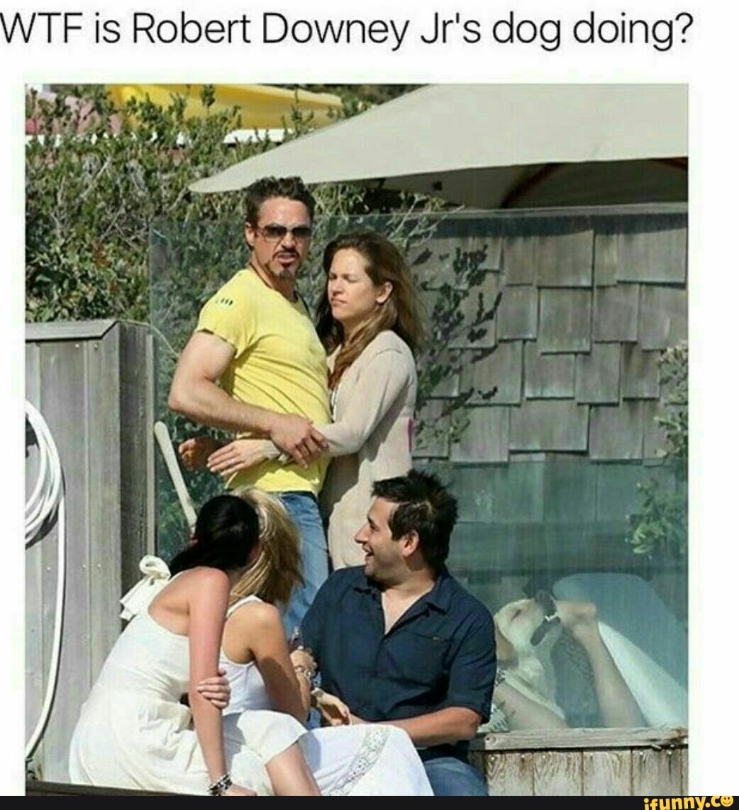 TF is Robert Downey Jr's dog doing?