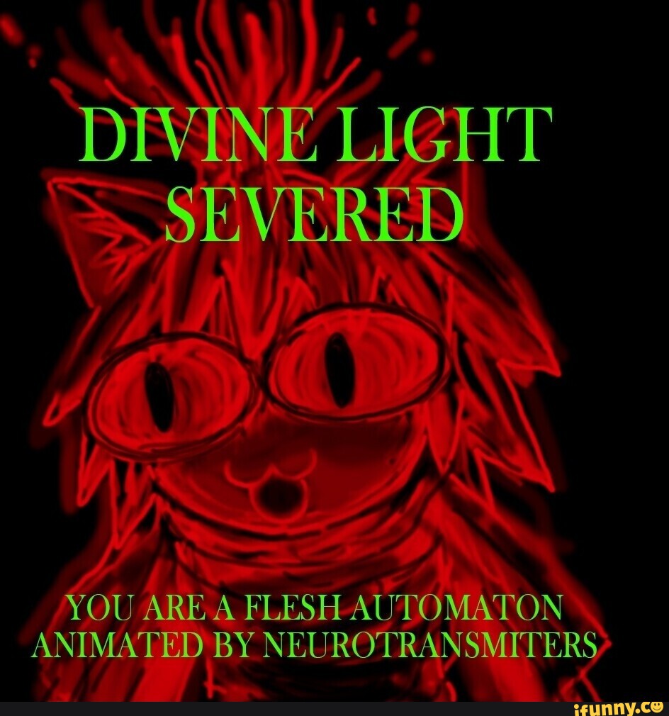 DIVINE LIGHT SEVERED YOU ARE FLESH AUTOMATON ANIMATED BY ...