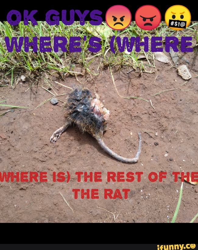 WHERE THE REST oF THE