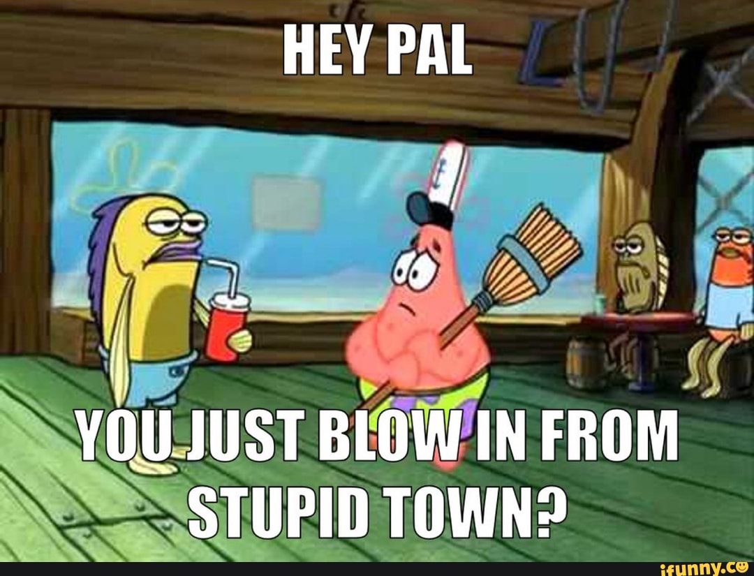 Hey Pal You Just Blow In From Stupid Town Ifunny