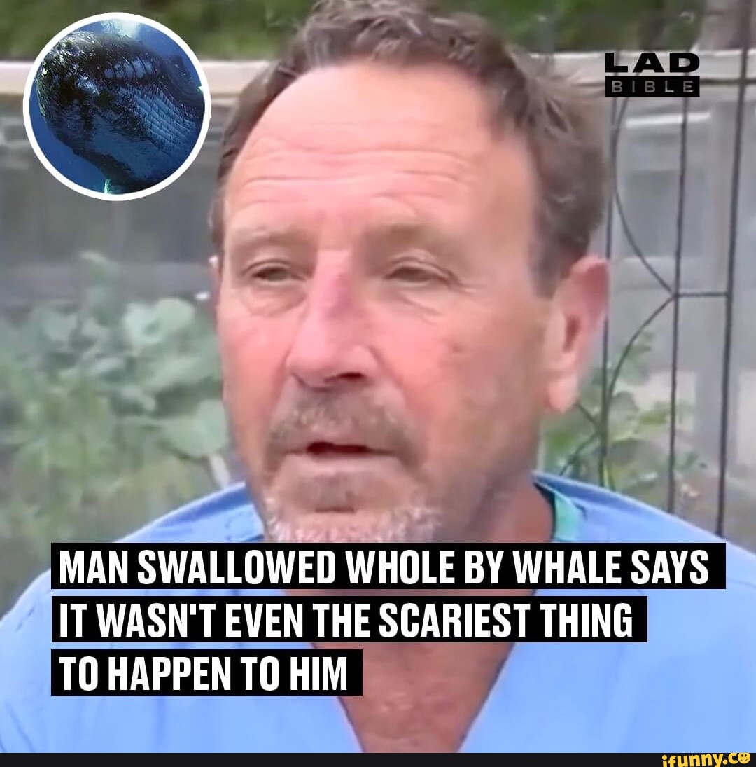 MAN SWALLOWED WHOLE BY WHALE SAYS I IT WASN'T EVEN TI THE SCARIEST