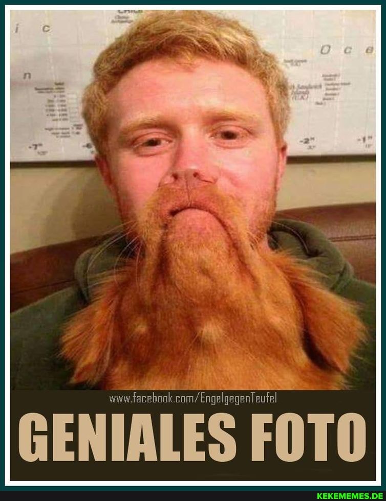 GENIALES FOTO
