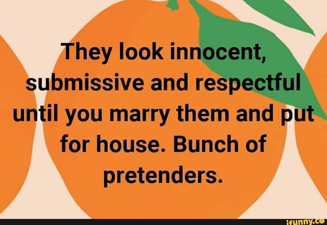 They look innocent, submissive and respectful until you marry them and ...