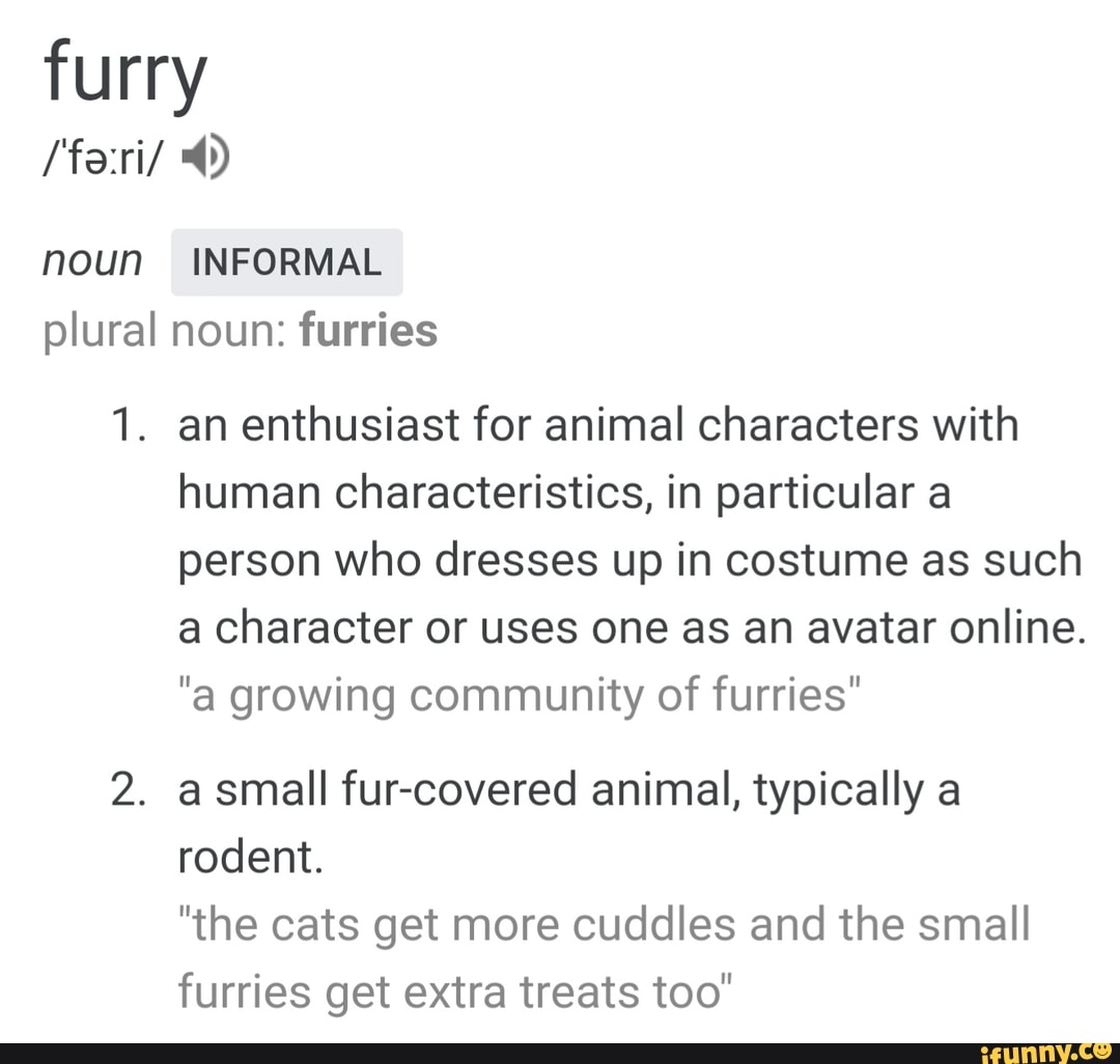 furry-fe-ri-19-noun-informal-plural-noun-furries-i-an-enthusiast-for-animal-characters