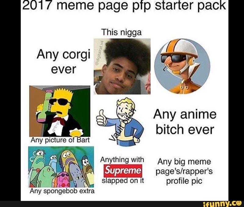 2017 Meme Page Pfp Starter Pack Any Corgi Ever Any Anime Bitch