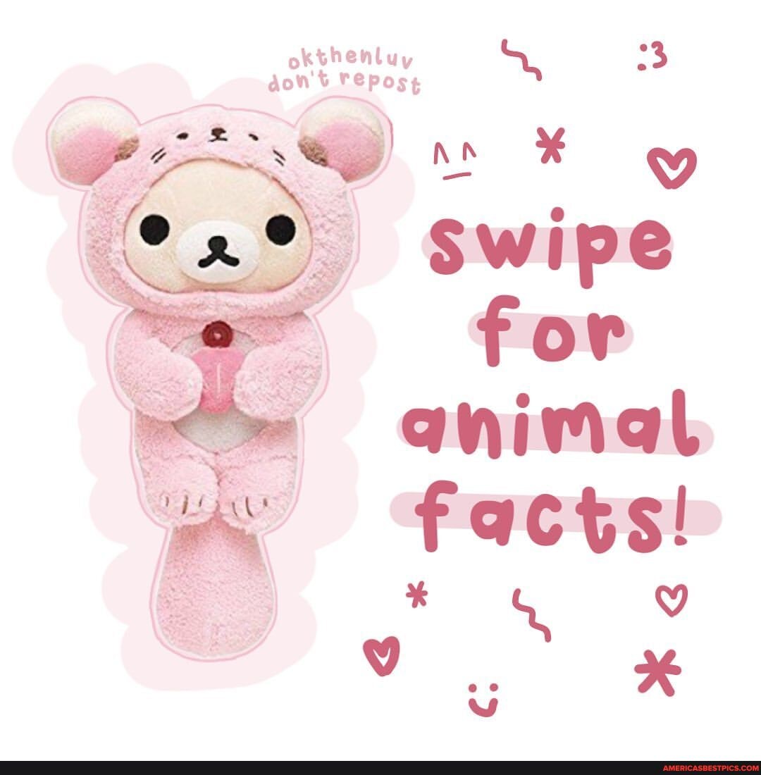 okthenluy 3
aon repost
swipe off or
facts!
