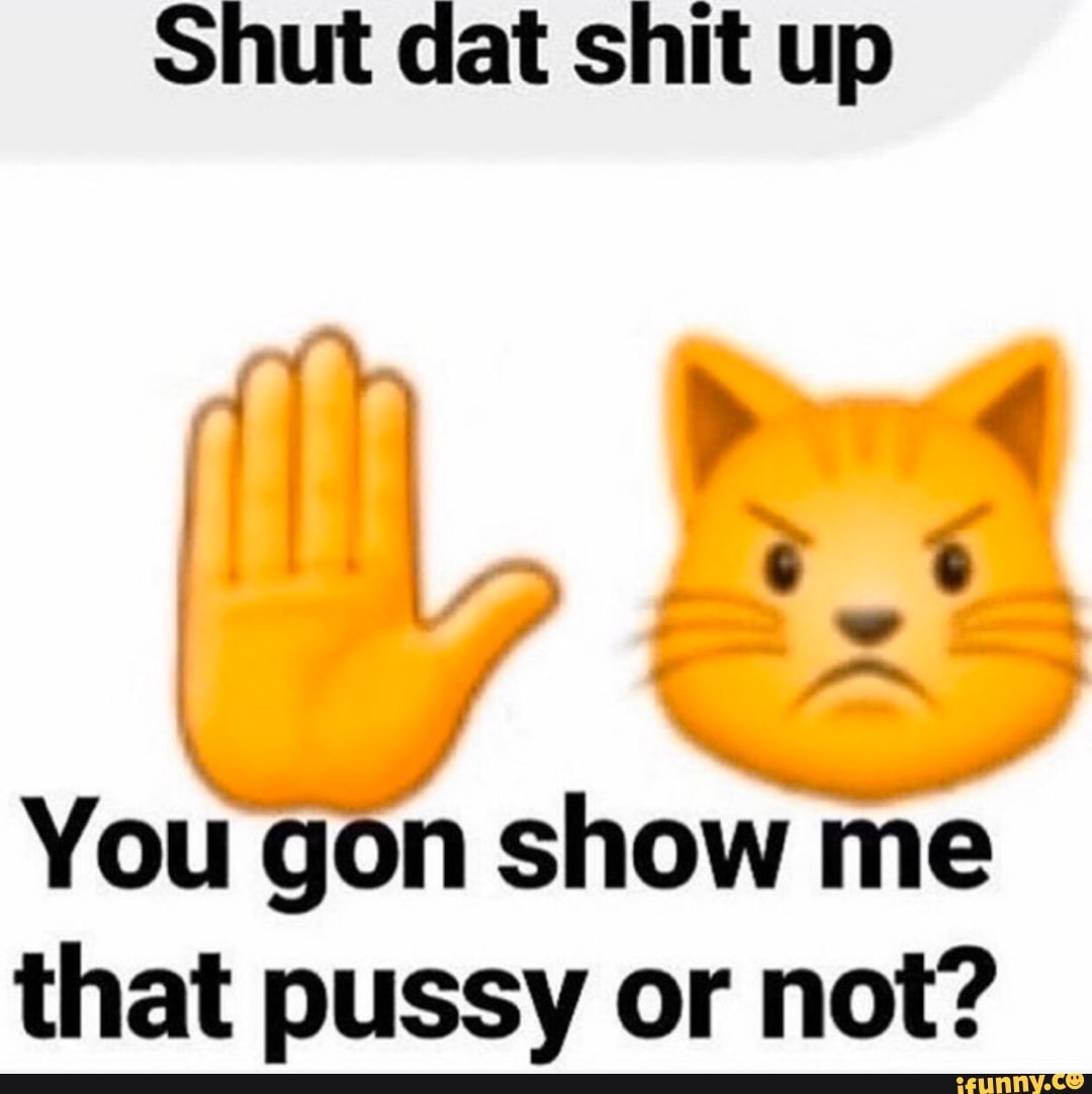 Shut dat shit up You gon show me that pussy or not? - iFunny