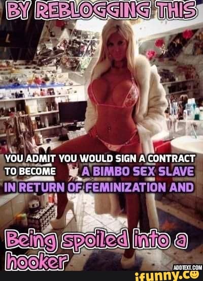 Bimbos in lingerie tumblr You Admit You Would Sign Contract To Become Wa Bimbo Sex Slave In Return Of Feminization And Hooker