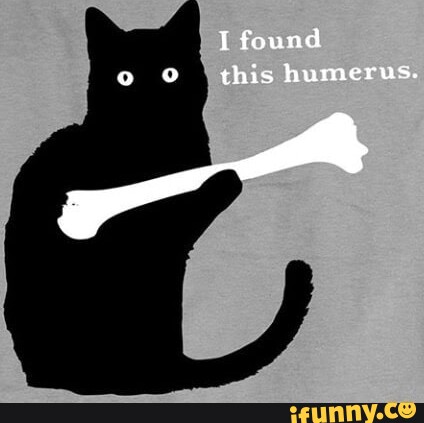 Found this humerus. - iFunny