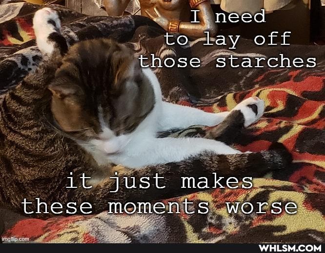 I need to lay off those starches
it just makes these moments worse