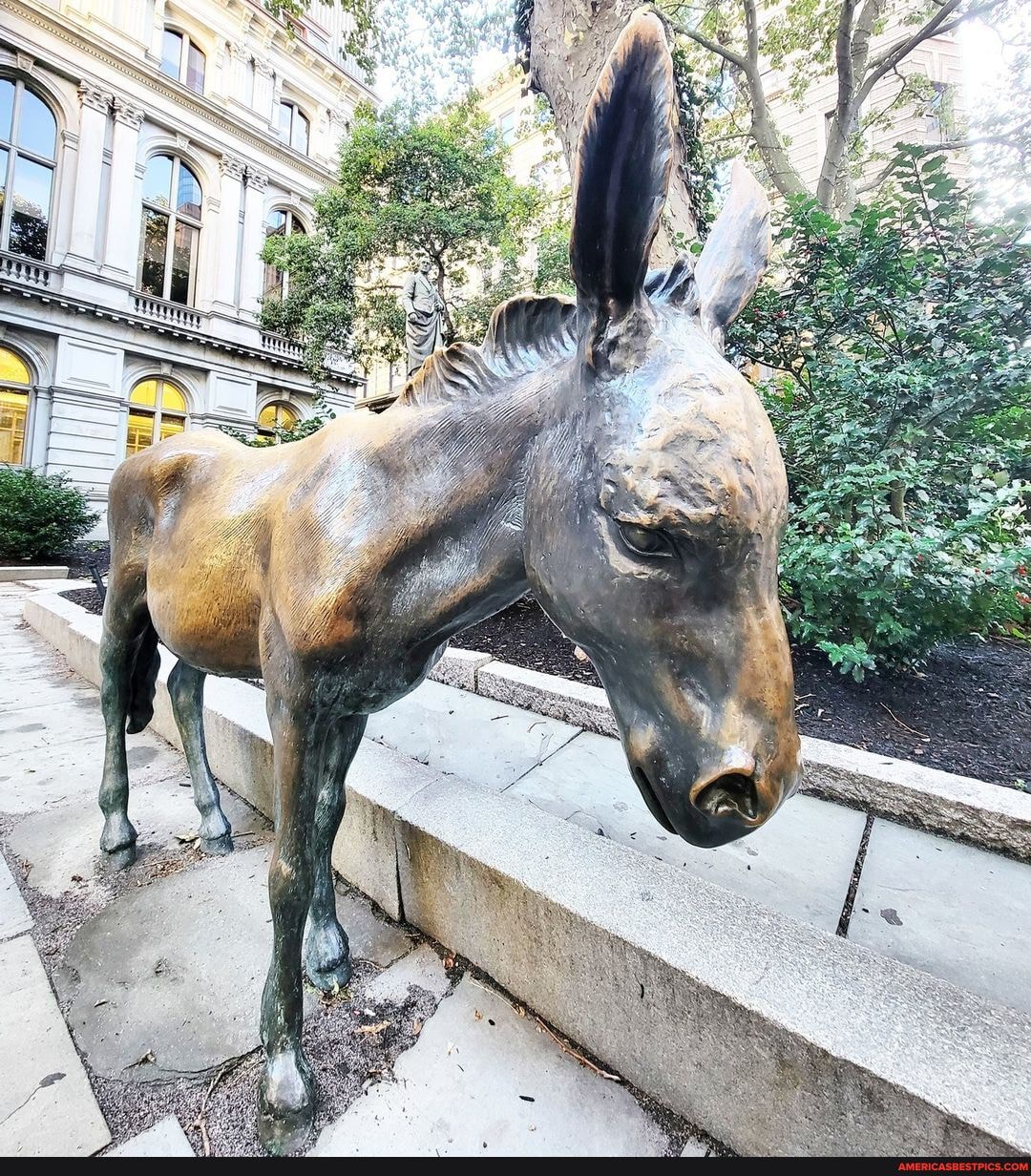 A statue of a donkey was installed outside Boston's Old City Hall in