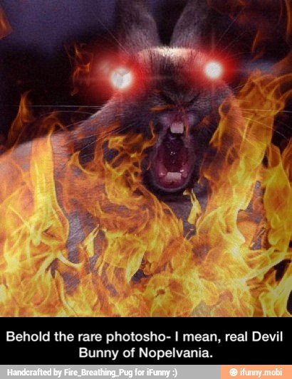Behold the rare photosho- I mean, real Devil
Bunny of Nopelvania. - Behold the rare photosho- I mean, real Devil Bunny of Nopelvania.