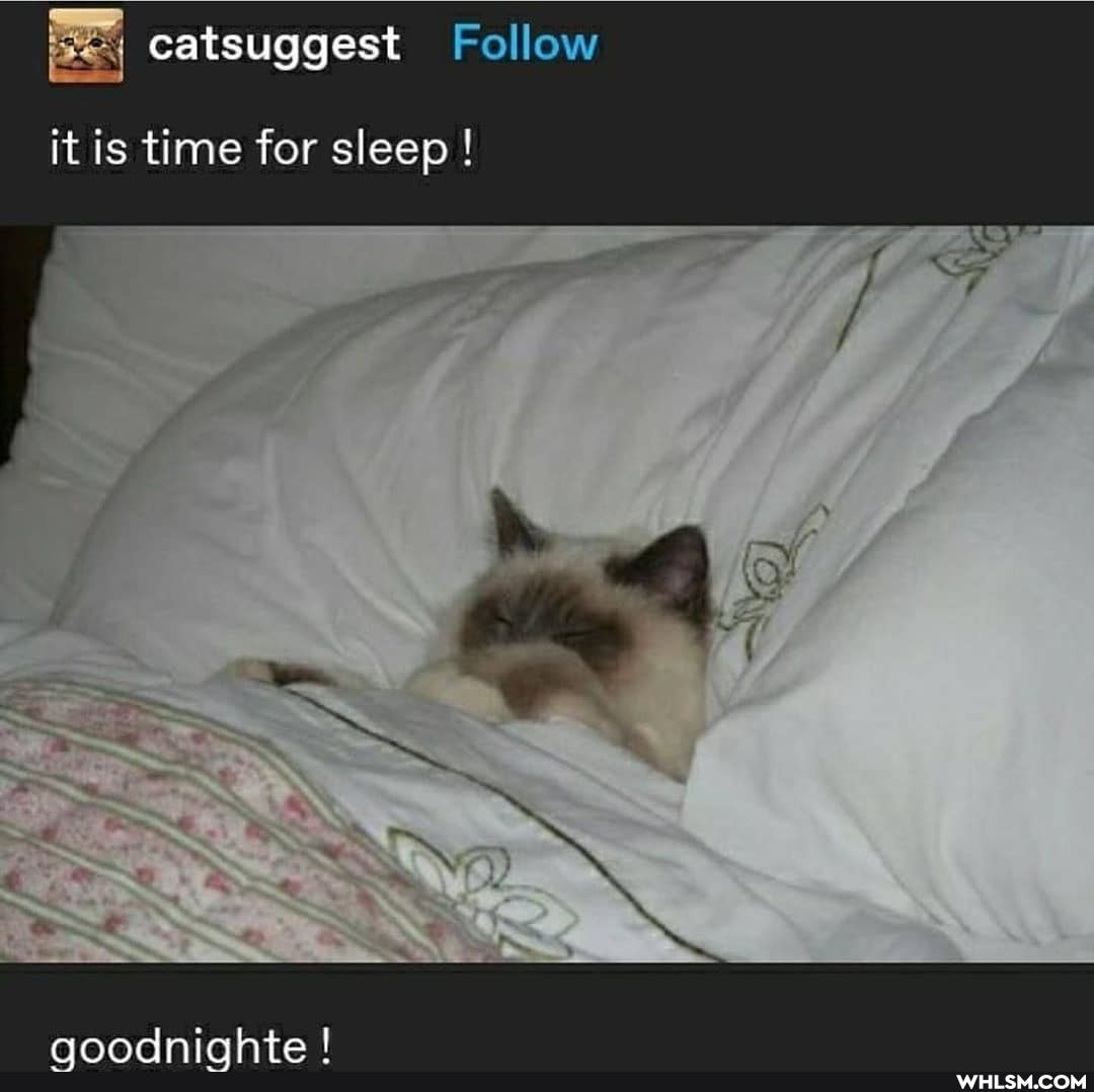it is time for sleep !
a sp
goodnighte
