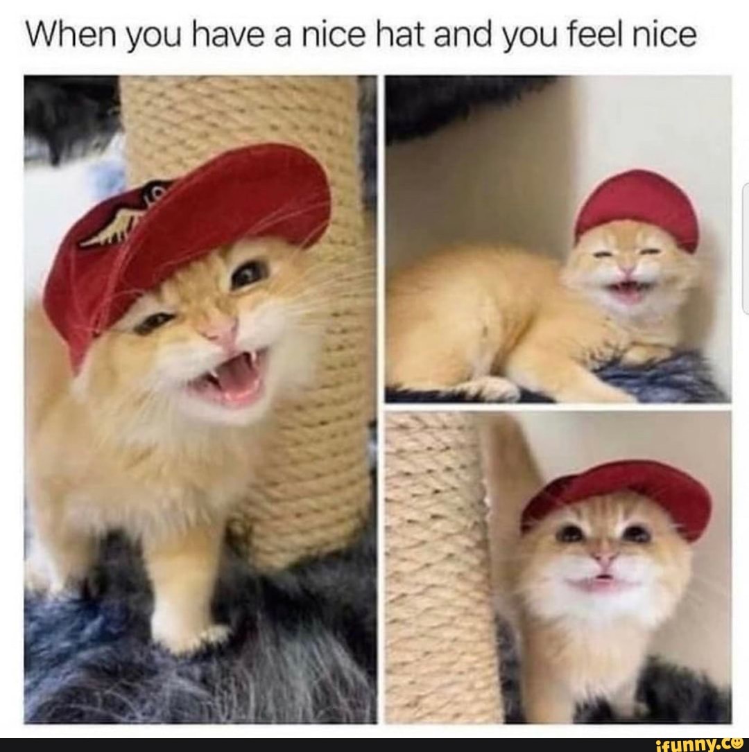 When you have a nice hat and you feel nice