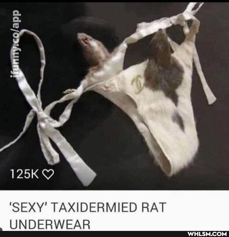 'SEXY' TAXIDERMIED RAT UNDERWEAR