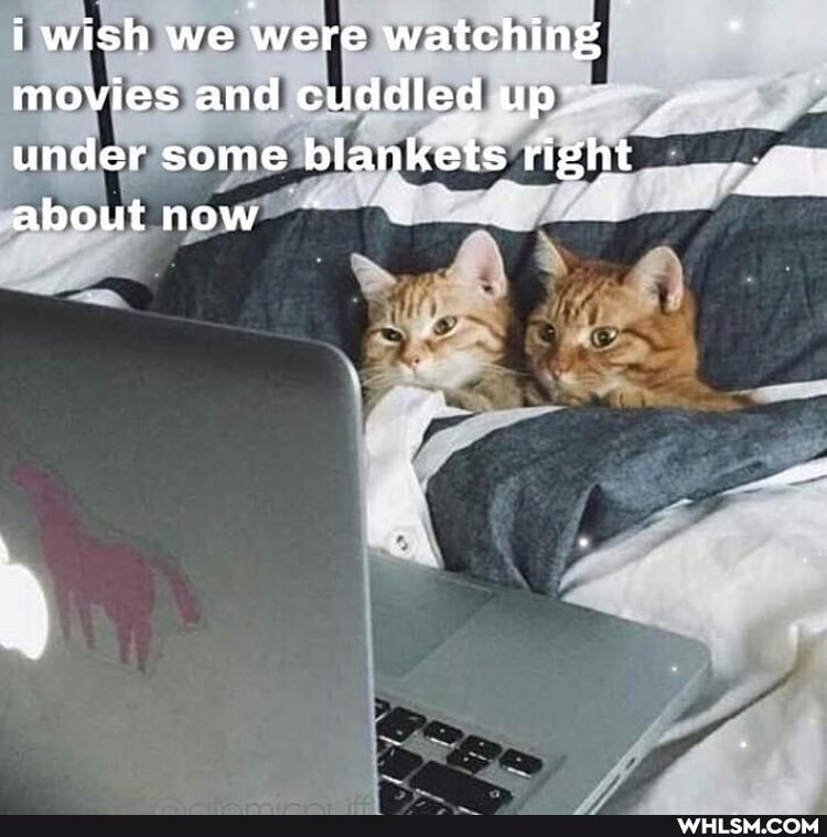 i wish we were watching
movies and cuddled up under some blankets right about