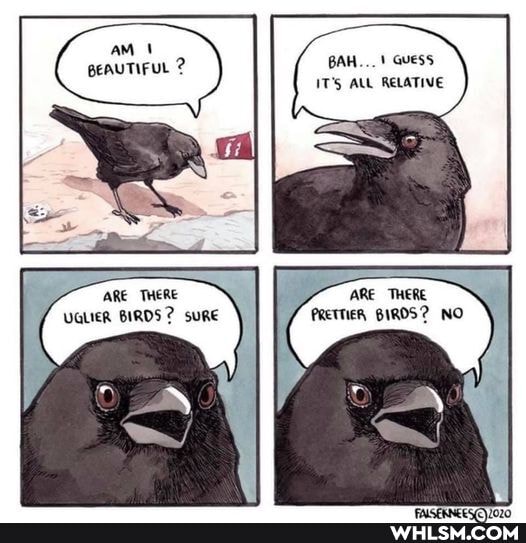 aM BEAUTIFUL 2
BAH... GuEss
IT'S AUL RELATIVE
ARE THERE ARE THERE VGLIER BIRDS ? sURE PRETTIER BIRDS? NO