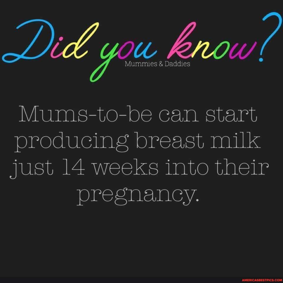 Did you row? Daddies lummies & Daddies Mumstobe can start producing