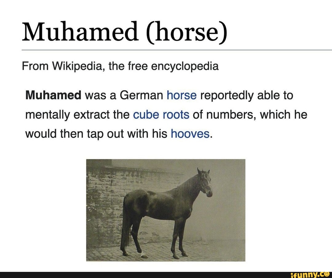 Horsea, Wiki