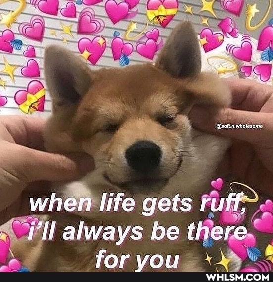 when life gets ill always be there
Ar rIT