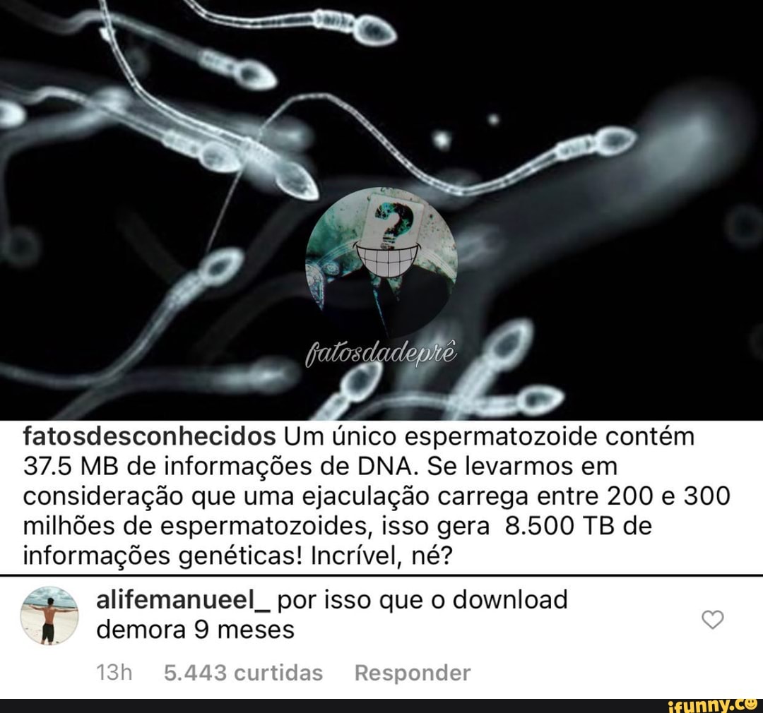 fatosdesconhecidos Um único espermatozoide contém
37.5 MB de informações de DNA. Se levarmos em consideração que uma ejaculação carrega entre 200 e 300 milhões de espermatozoides, isso gera 8.500 TB de informações genéticas! Incrível, né?
alifemanueel por isso que o download demora 9 meses
curtidas Responder