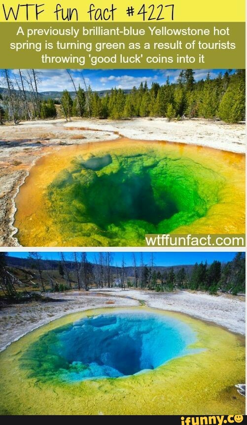 WTF fun fact #4227 Ap sly brilliant-blue Yellowstone hot spring is ...