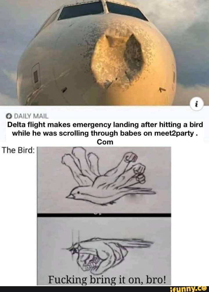 DAILY MAIL Delta flight makes emergency landing after hitting a bird while he was scrolling through babes on meet2party .
Com
Fucking it om, laro!
The Bird: