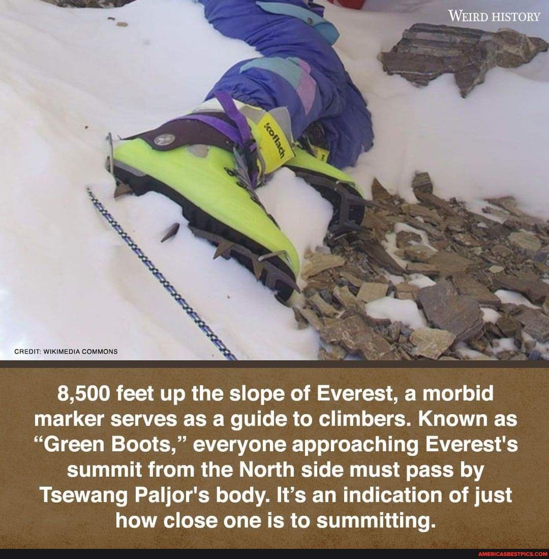 Фото зеленые ботинки эверест фото