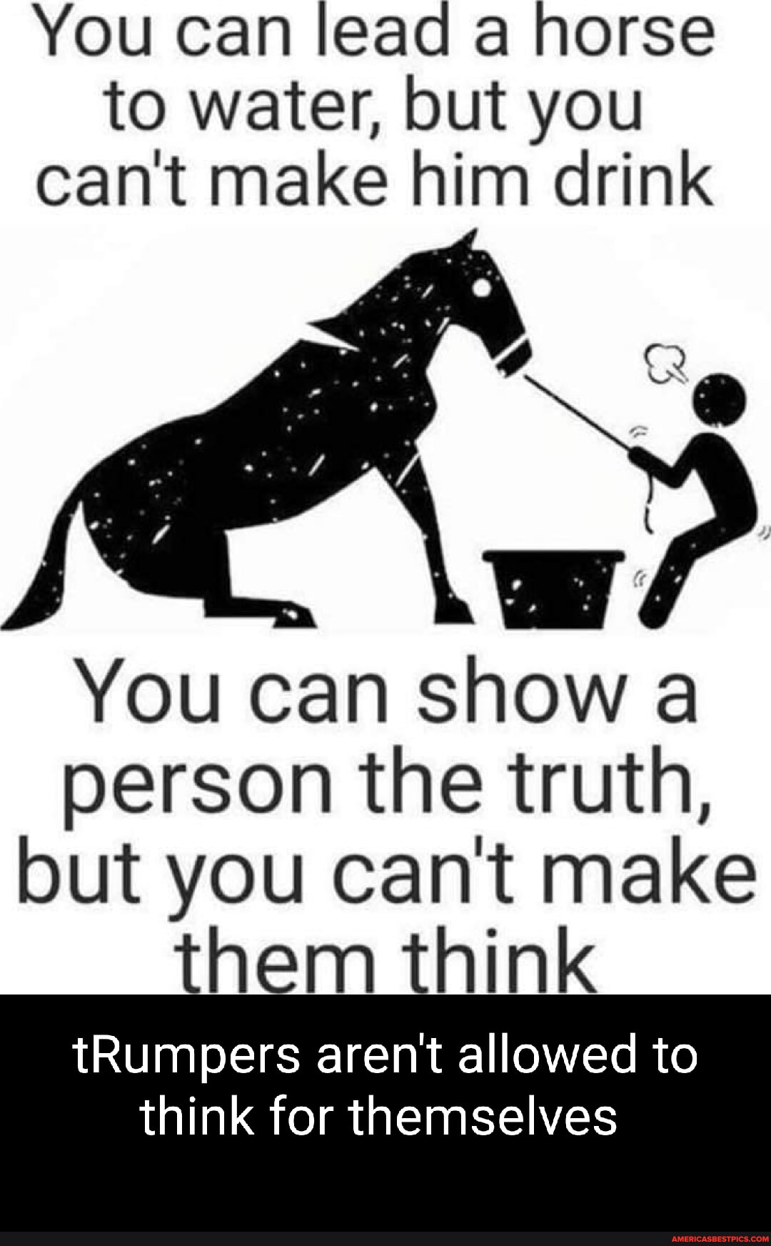 You can lead a horse to water, but you cant make him drink I You can ...